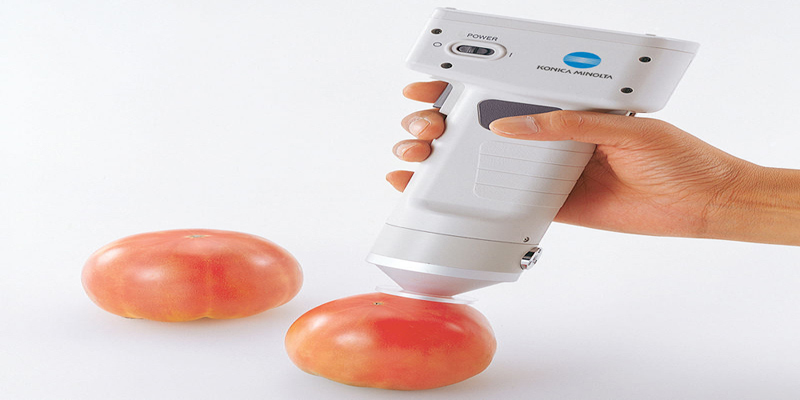 Colour measure for tomato